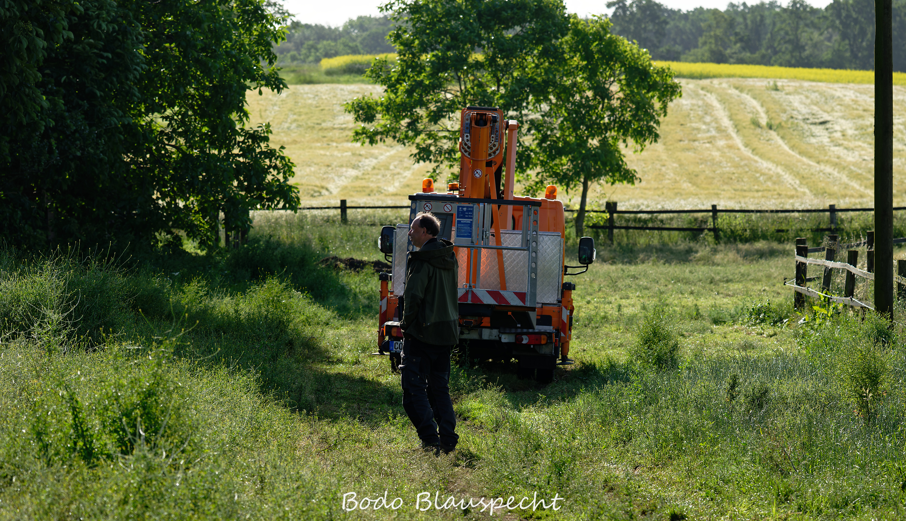 Jungstörche beringen Hof Himmelmann 2026.06.10 08.21 11 WEB